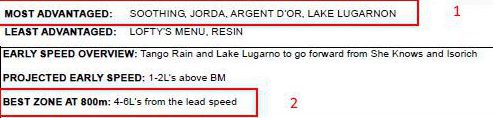 08092019-RaceSpeedProfile-R8-BestZone