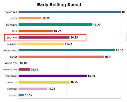 08092019-RaceSpeedProfile-R8-EarlySpeed