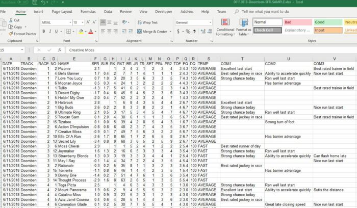 Horse Racing Excel Data - Tutorial