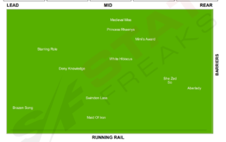 Caulfield Race Two Speed Map Statfreaks 7th of May 2022