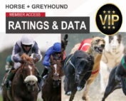 Full Horse plus Greyhound Racing Access Statfreaks Membership