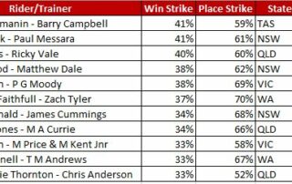 Rider Trainer Horse Racing Statistics Australia November 2022